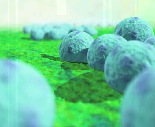 ‘Superbacteriën zullen elke drie seconden dode maken’