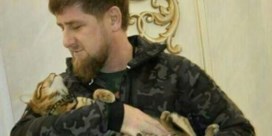 Tsjetsjeens leider en Amerikaanse komiek ruziën over... een vermiste kat