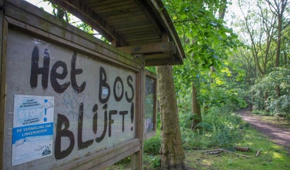 Het Sint-Annabos moet verdwijnen voor de Oosterweelverbinding. Dat gebeurt niet zonder protest.