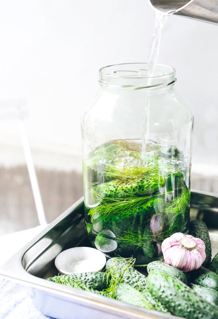 Gefermenteerde Augurken De Standaard Mobile