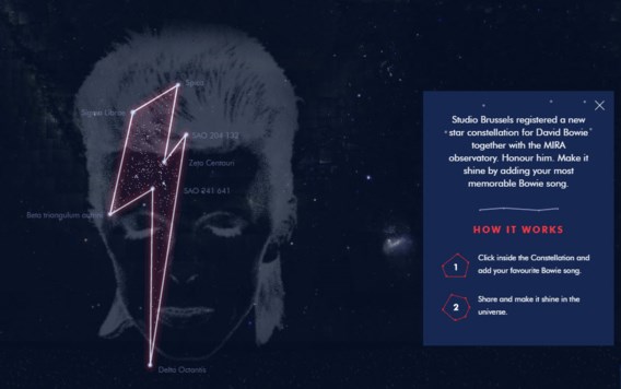 Belgische campagnes rond Bowie en borstreconstructies bekroond