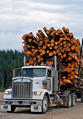 Een vrachtwagen met hout in Alberta, een van de Canadese uitvoerproducten naar België.