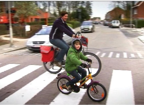 ‘Jong geleerd is oud gedaan’, zegt Luk Lemmens (N-VA).