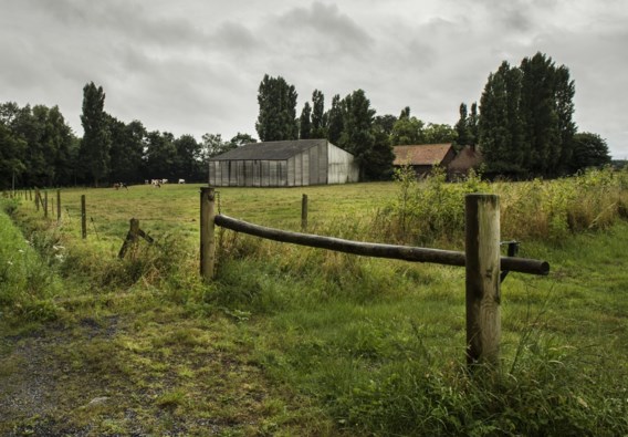 Op de lap grond van 3,5 hectare staan vandaag een boerderij en een manege. Die zouden moeten wijken voor een villawijk.