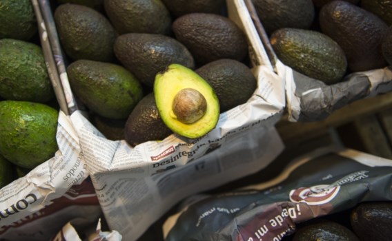 De ongemakkelijke waarheid over avocado’s