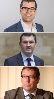Sander Loones (Europa), Karl Vanlouwe (Vlaams) en Peter Luykx (federaal) richten een werkgroep op.
