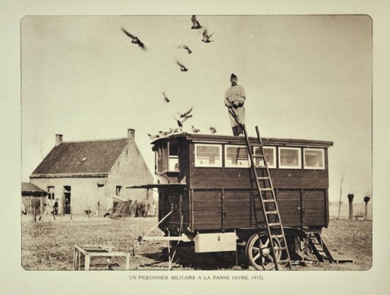 Een kraterveld in de buurt van Ieper, 1916.
