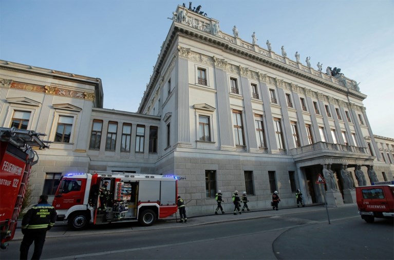 Brand aan dak Oostenrijks parlement