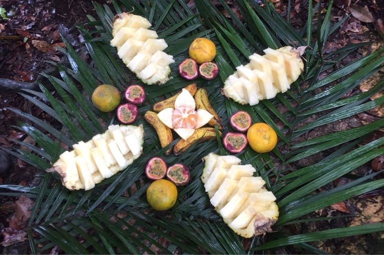 Beestenboel op Sumatra