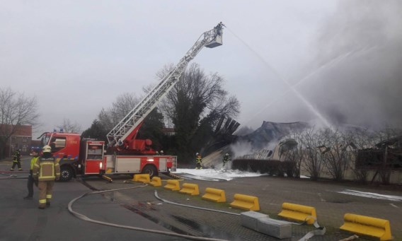 Bedrijf volledig vernield na hevige brand in buurt van E17