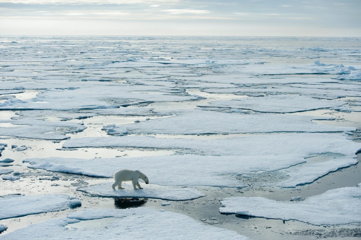 Onvoorziene omstandigheden Toestemming eeuw Tijd smelt weg voor klimaatmaatregelen | De Standaard Mobile Onvoorziene omstandigheden Toestemming eeuw Tijd smelt weg voor klimaatmaatregelen | De Standaard Mobile
