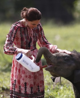 BBC onder vuur na ophefmakende documentaire over populair neushoornpark