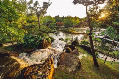 Feest In Hasselt Japanse Tuin Heeft 25 Jaar Nodig Om Te Vo Hasselt De Standaard Mobile