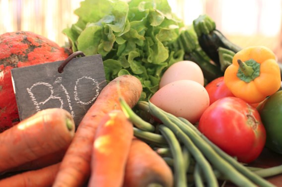 'Bio is niet per se gezonder en milieuvriendelijker, plantaardig eten wel'