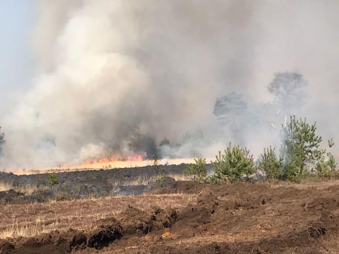 VIDEO. Grote brand op militair domein Schietveld: 60 hectare open vlakte in vlammen opgegaan