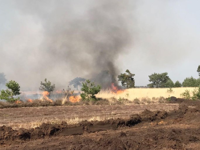 VIDEO. Grote brand op militair domein Schietveld: 60 hectare open vlakte in vlammen opgegaan
