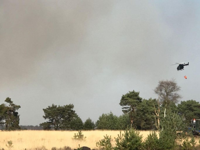 VIDEO. Grote brand op militair domein Schietveld: 60 hectare open vlakte in vlammen opgegaan