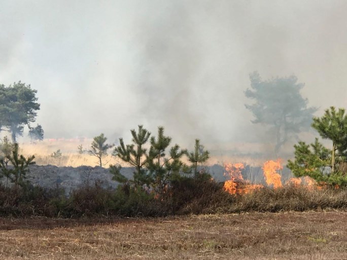 VIDEO. Grote brand op militair domein Schietveld: 60 hectare open vlakte in vlammen opgegaan