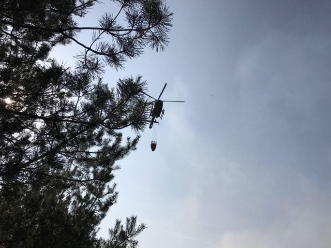 VIDEO. Grote brand op militair domein Schietveld: 60 hectare open vlakte in vlammen opgegaan