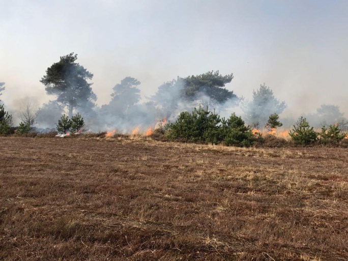 VIDEO. Grote brand op militair domein Schietveld: 60 hectare open vlakte in vlammen opgegaan