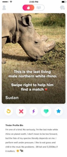 Waarom deze beestig exclusieve vrijgezel op Tinder zit