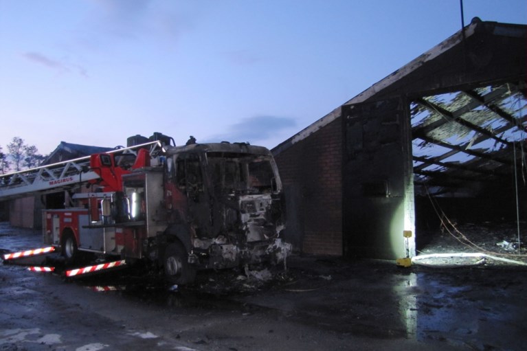 Stalbrand doodt duizenden kuikens