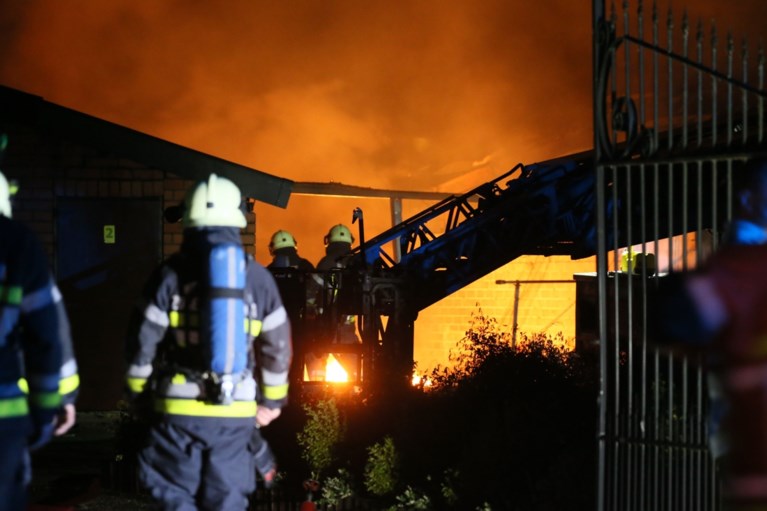 Stalbrand doodt duizenden kuikens
