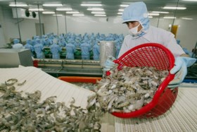 Wat heeft Oost-Vlaanderen in Vietnam verloren?