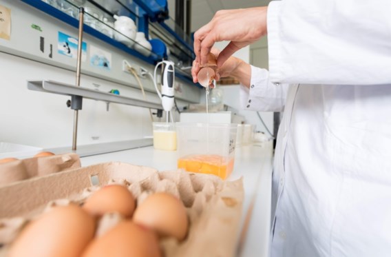 Duitsland roept België op het matje over kippencrisis