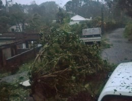 Belg in Guadeloupe: 'Orkaan Maria is veel erger dan Irma'