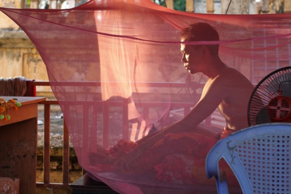 Supermalaria rukt sneller dan verwacht op in Zuidoost-Azië
