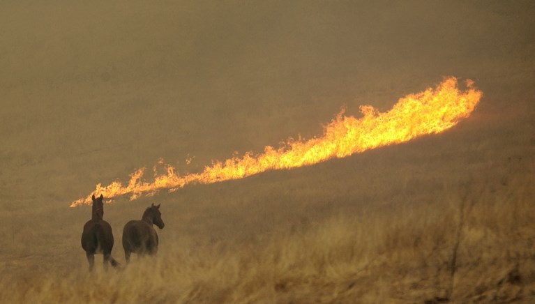Zeker tien doden bij natuurbranden in Californië