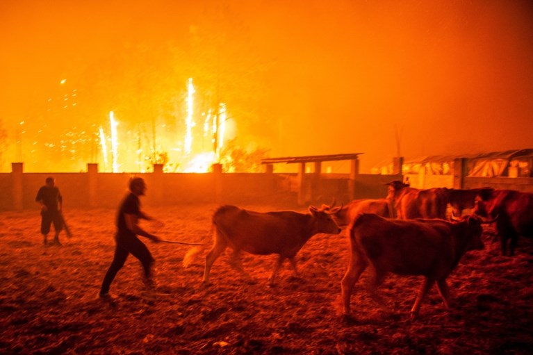 Minstens 27 doden bij bosbranden in Portugal