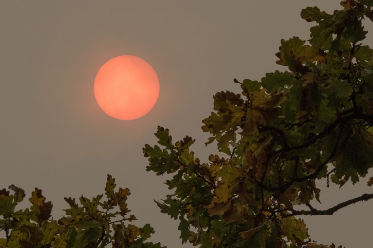 Rode zon kleurt de hemel