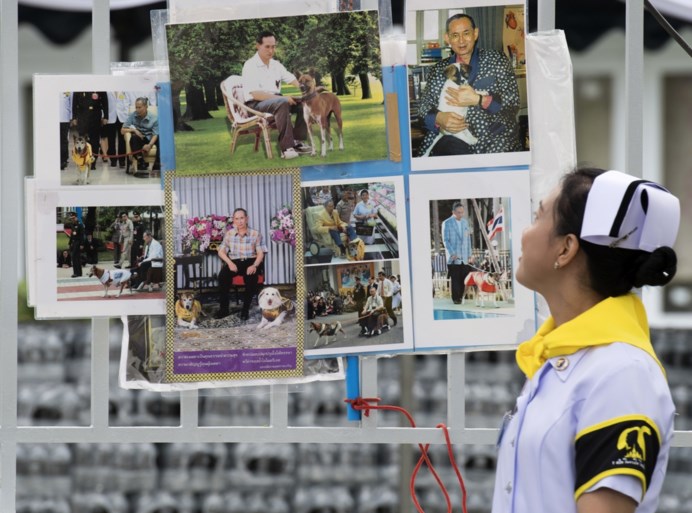 Vijfdaagse crematieceremonie Thaise koning Bhumibol begonnen