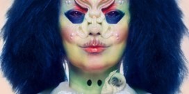 Björk datet weer