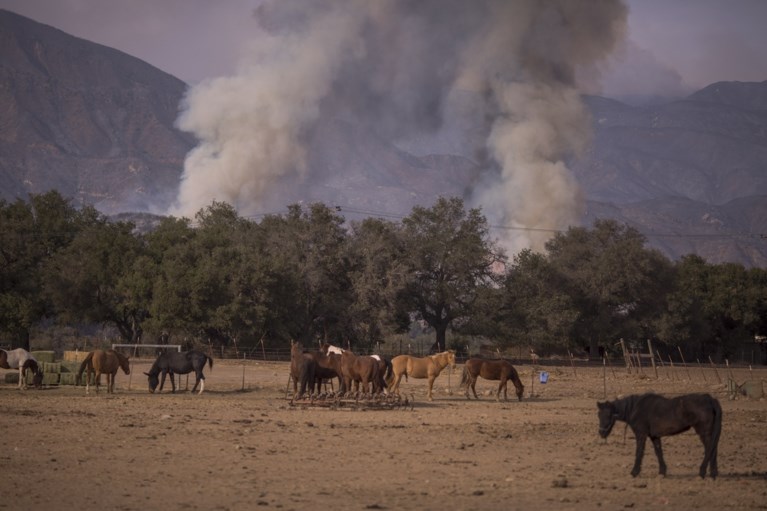 Grote bosbrand in Californië breidt verder uit