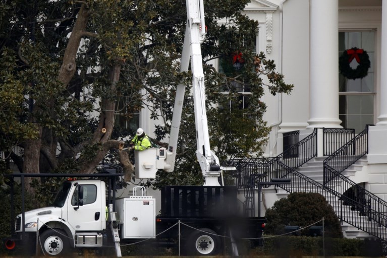 Melania laat eeuwenoude boom bij Witte Huis weghalen