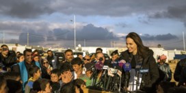 Angelina Jolie komt in Brussel de vrouwenrechten aankaarten