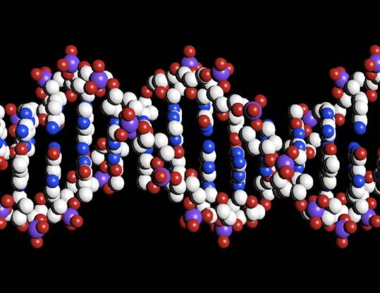 Volledige DNA-analyse weldra op doktersvoorschrift