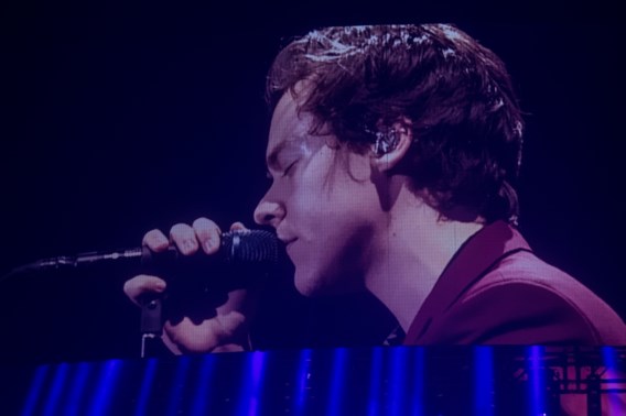 Harry Styles: paparock voor beginners