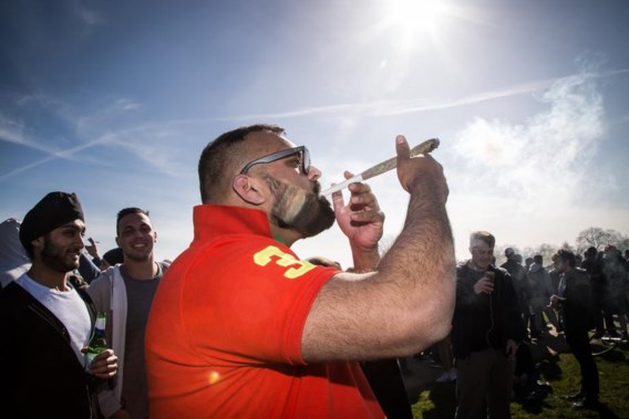 ‘Belgisch cannabisbeleid faalt’