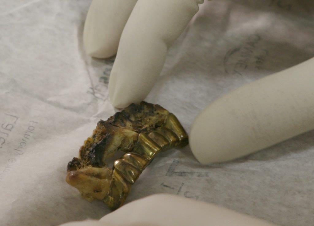 Hoe dood is Hitler? | De Standaard