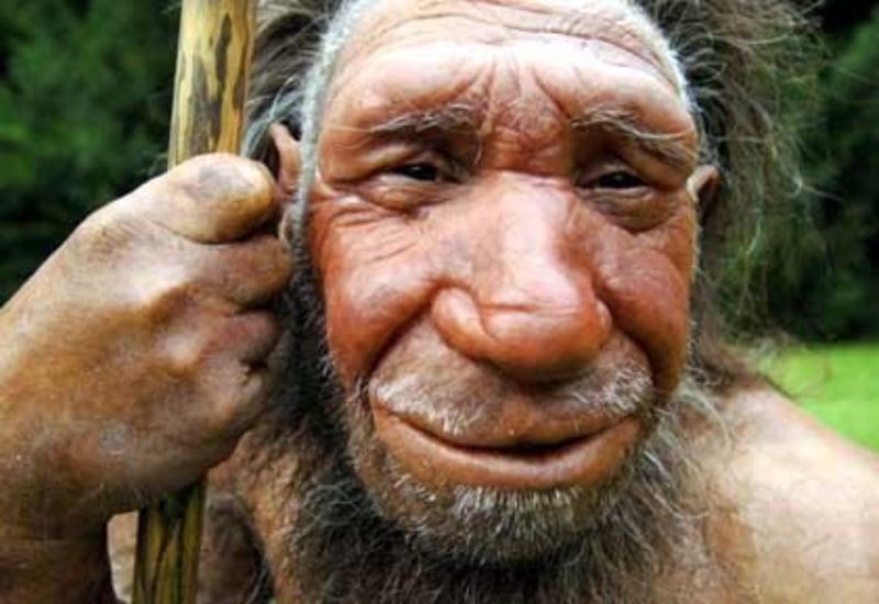 Jet vertegenwoordiger Rechtmatig Waarom de neanderthaler zo'n grote neus had | De Standaard Mobile