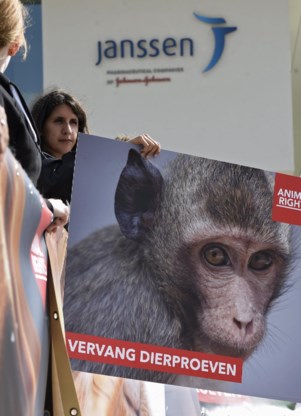 Animal Rights voert al langere tijd actie tegen de dierproeven bij Janssens Pharmaceutica. 