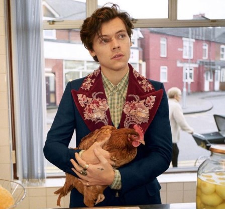 Harry Styles poseert met kippen en honden