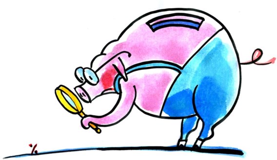 Wat moet de fiscus weten over kleine beleggingen?