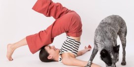 De populairste yogi op het internet
