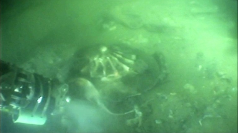 Unieke vondst in Noordzee: Amerikaanse B-17-bommenwerper
