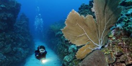 Belize haalt koraalrif uit gevarenzone